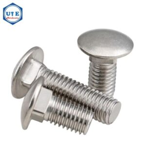SS COACH BOLT M10X60 MM
