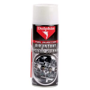 Air intake System Cleaner 450ml (fuel Injection)