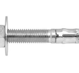SS GL THROUGH BOLT 12X150