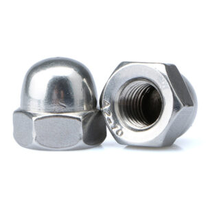 SS A4-316 CAP NUT M16