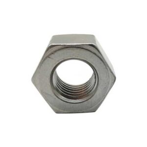 SS 316 HEX NUT M10