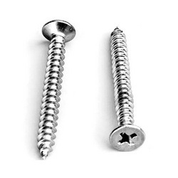 SS Screw 316 Flat Head 12X2"